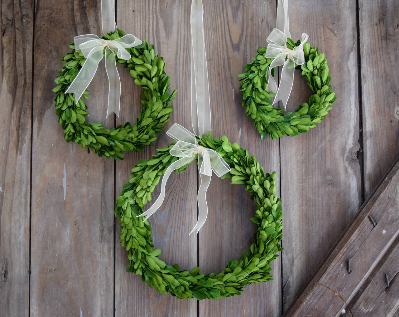 Preserved Boxwood Wreath - Round With Ribbon - 3 Piece Set