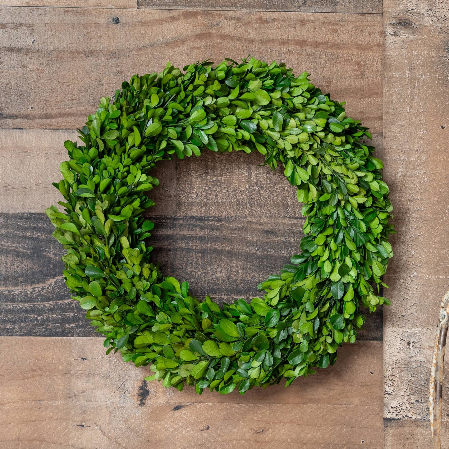 Preserved Boxwood Country Manor Wreath - Round - 14 Inch