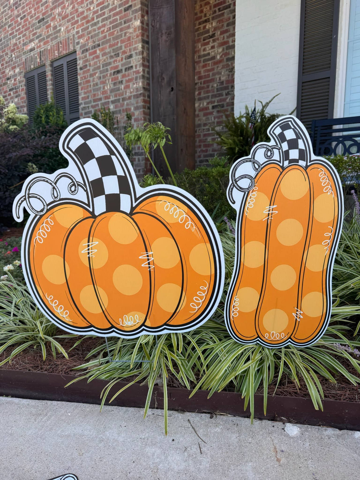 Trick or Chic- Short Checked Pumpkin 