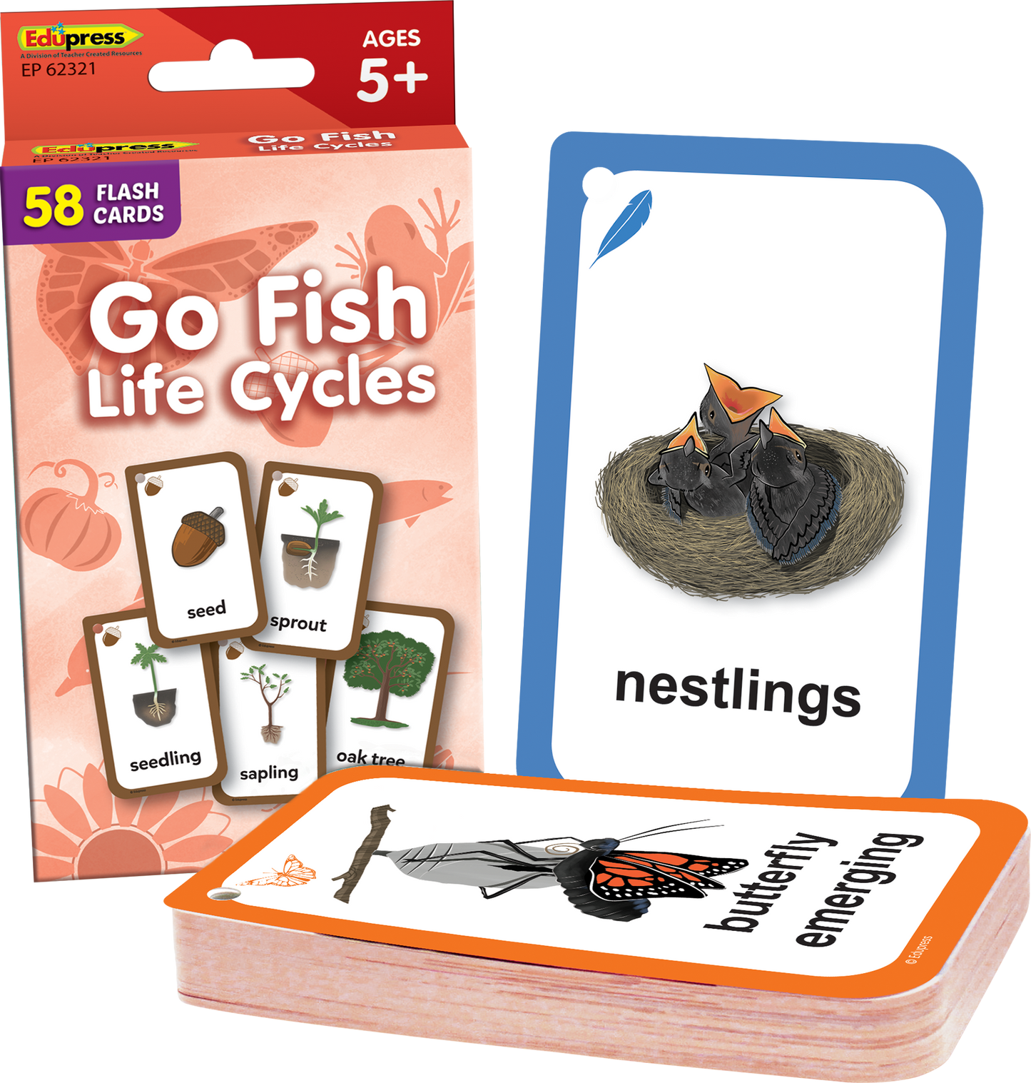 Go Fish: Life Cycles Flash Cards