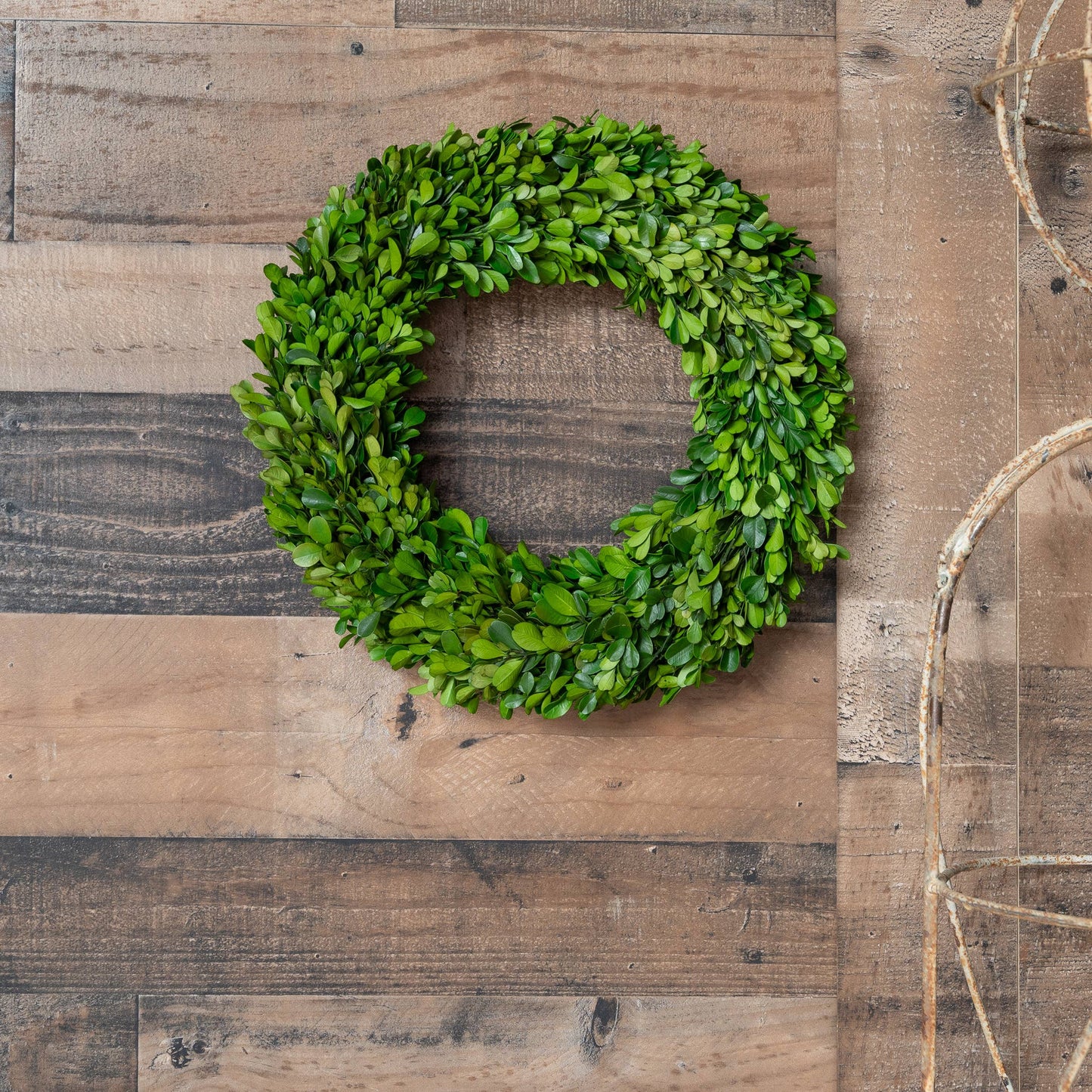 Preserved Boxwood Country Manor Wreath - Round - 14 Inch